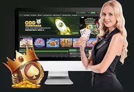 app 8xbet cá cược bóng đá V.League